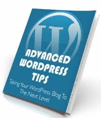 Top 12 Quick Tips to start your WordPress Blog