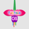Google’s Fuchsia OS for mobile leaked in new images and video: Report