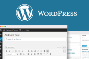 How to Start a WordPress Blog (Step by Step)