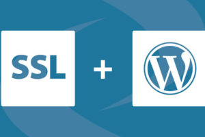How to Add SSL and HTTPS in WordPress?